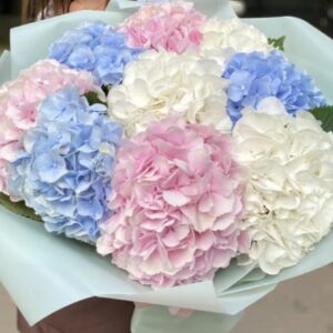 Букет микс из 9шт Гортензии