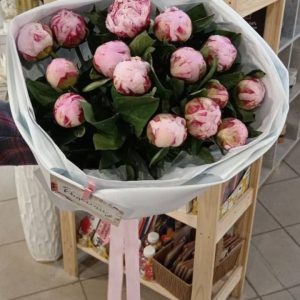 Букет пионы 15шт